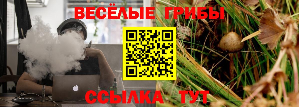 Ртищево  Галлюциногенные грибы Psilocybine cubensis  Вход с VPN 